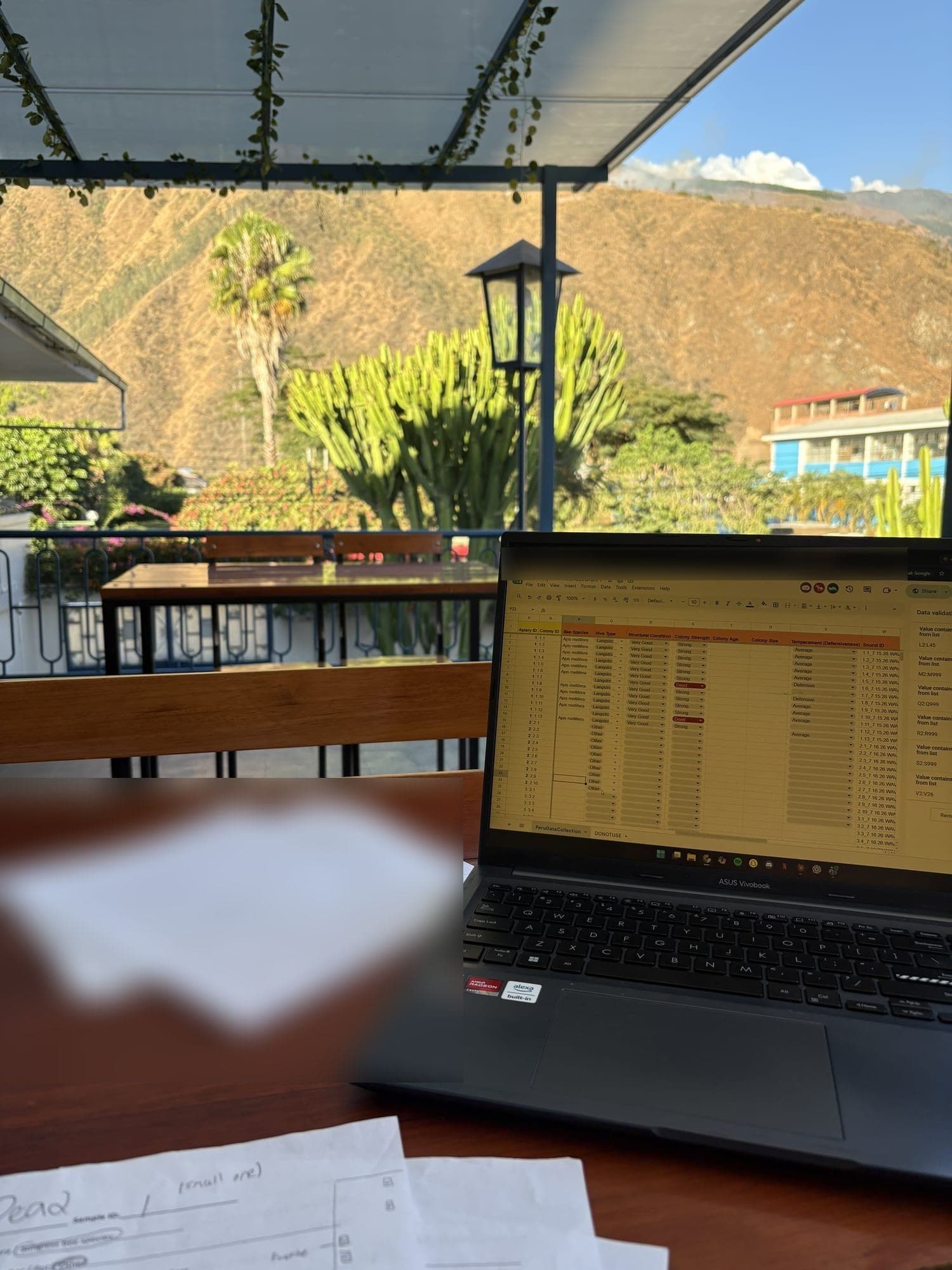 Me entering figures from paper field sheets into a spreadsheet on a laptop, mountains in the background.