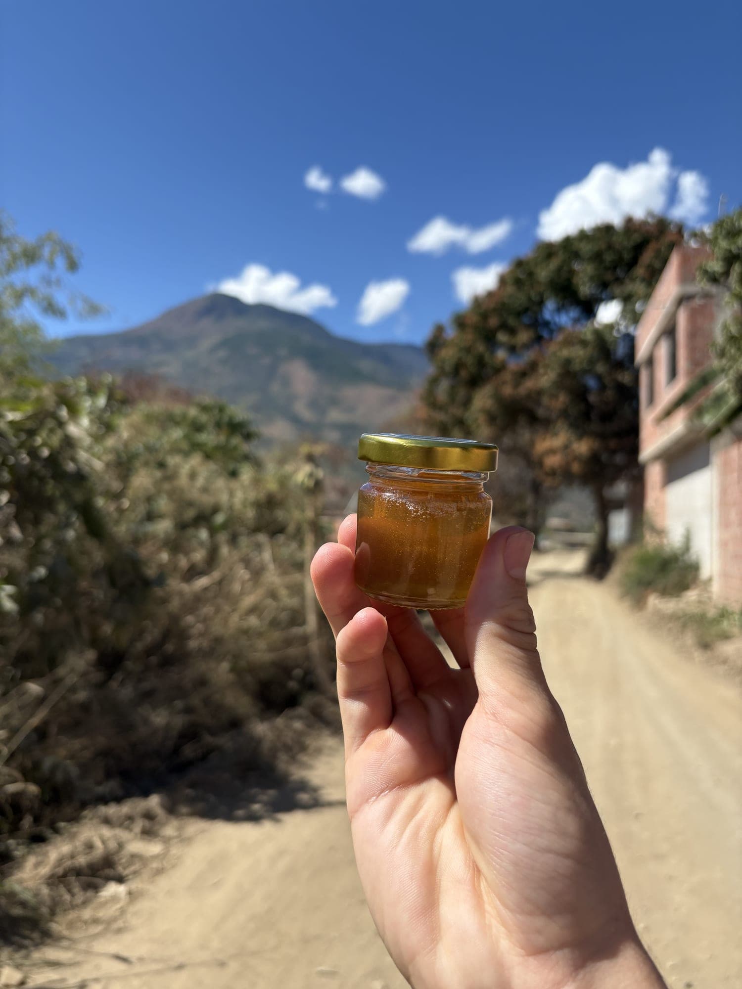 A jar of stingless bee honey held up, with mountains behind it.