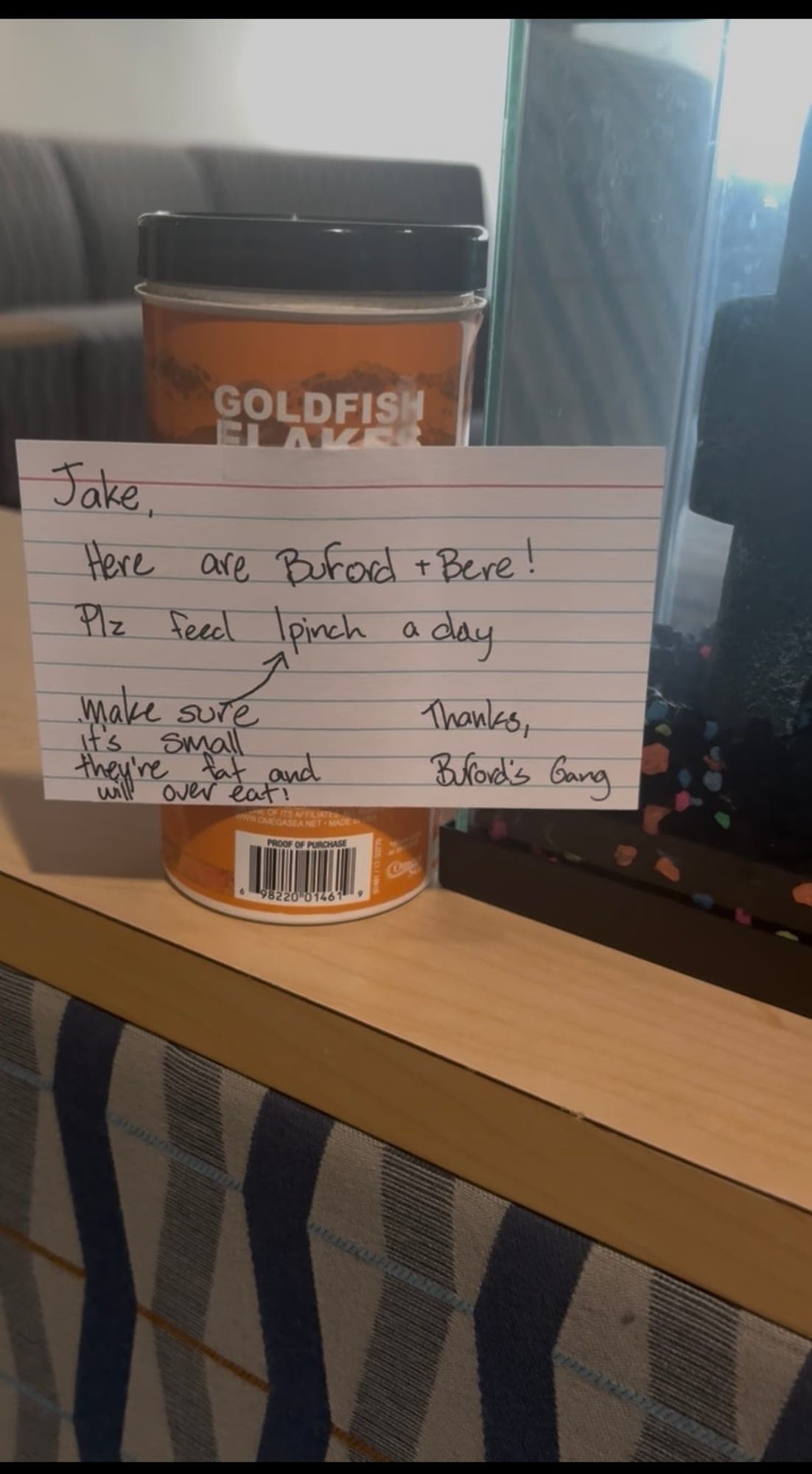 A hand-written note from residents listing instructions for feeding and looking after their fish.